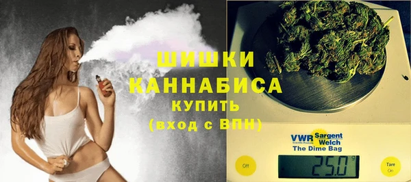молекула духа Новодвинск
